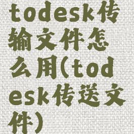 todesk传输文件怎么用(todesk传送文件)