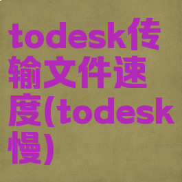 todesk传输文件速度(todesk慢)