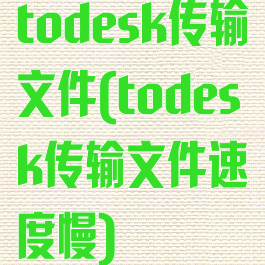 todesk传输文件(todesk传输文件速度慢)