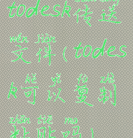 todesk传送文件(todesk可以复制粘贴吗)