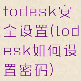 todesk安全设置(todesk如何设置密码)