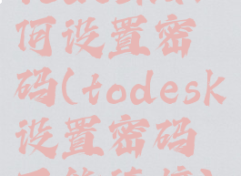todesk如何设置密码(todesk设置密码不能连接)