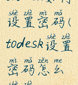 todesk如何设置密码(todesk设置密码怎么设置)
