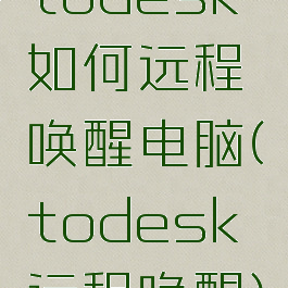 todesk如何远程唤醒电脑(todesk远程唤醒)