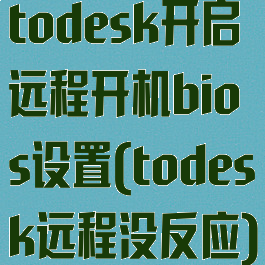 todesk开启远程开机bios设置(todesk远程没反应)