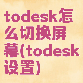 todesk怎么切换屏幕(todesk设置)