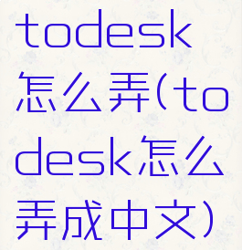 todesk怎么弄(todesk怎么弄成中文)