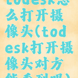 todesk怎么打开摄像头(todesk打开摄像头对方能看到吗)