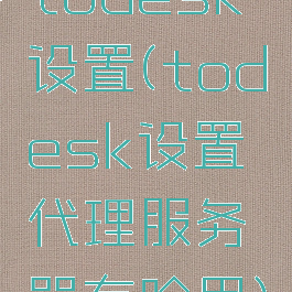 todesk设置(todesk设置代理服务器有啥用)
