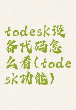 todesk设备代码怎么看(todesk功能)
