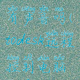 todesk远程有声音吗(todesk远程控制电脑声音)