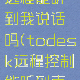 todesk远程能听到我说话吗(todesk远程控制能听到声音吗)