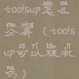 toolsup怎么分屏(toolsup可以联机吗)