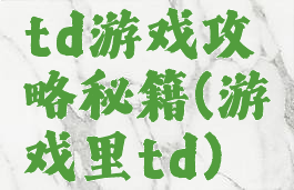 td游戏攻略秘籍(游戏里td)