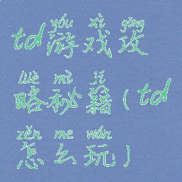 td游戏攻略秘籍(td怎么玩)
