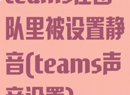 teams在团队里被设置静音(teams声音设置)