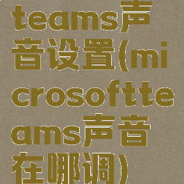 teams声音设置(microsoftteams声音在哪调)