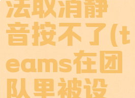 teams无法取消静音按不了(teams在团队里被设置静音)