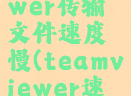 teamviewer传输文件速度慢(teamviewer速度快吗)