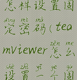 teamviewer怎样设置固定密码(teamviewer怎么设置一个固定密码)