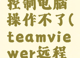 teamviewer远程控制电脑操作不了(teamviewer远程开机没反应)