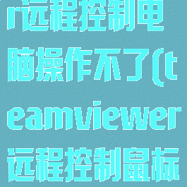 teamviewer远程控制电脑操作不了(teamviewer远程控制鼠标没反应)
