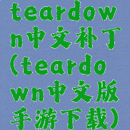 teardown中文补丁(teardown中文版手游下载)