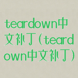 teardown中文补丁(teardown中文补丁)