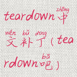 teardown中文补丁(teardown吧)