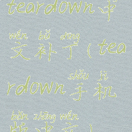 teardown中文补丁(teardown手机版中文)