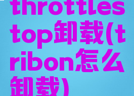 throttlestop卸载(tribon怎么卸载)