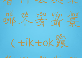 tiktok和抖音什么关系哪个有前景(tiktok跟抖音有什么不同)