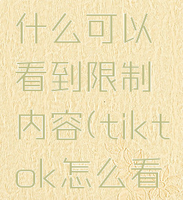 tiktok搜什么可以看到限制内容(tiktok怎么看擦边内容)