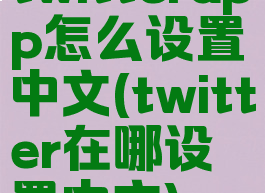 twitterapp怎么设置中文(twitter在哪设置中文)