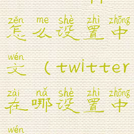 twitterapp怎么设置中文(twitter在哪设置中文)
