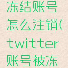 twitter冻结账号怎么注销(twitter账号被冻结)