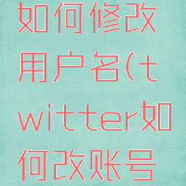 twitter如何修改用户名(twitter如何改账号名字)