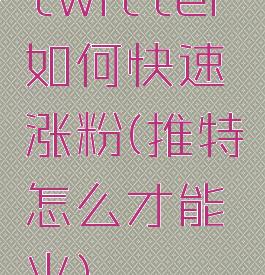 twitter如何快速涨粉(推特怎么才能火)