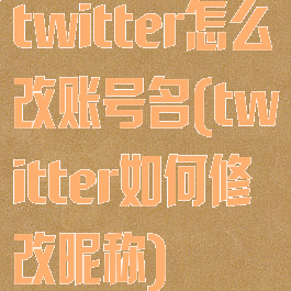 twitter怎么改账号名(twitter如何修改昵称)