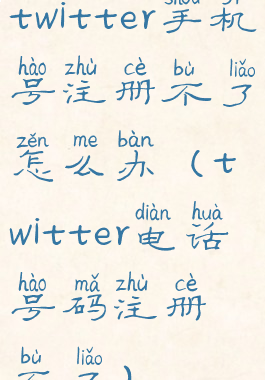 twitter手机号注册不了怎么办(twitter电话号码注册不了)