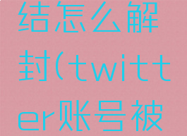 twitter账号被冻结怎么解封(twitter账号被冻结怎么解冻)