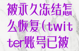 twitter账号被永久冻结怎么恢复(twitter账号已被永久冻结)