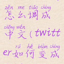 twitter软件怎么调成中文(twitter如何变成中文)