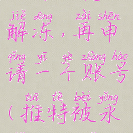 twitter被永久冻结怎么解冻,再申请一个账号(推特被永久冻结怎么解冻)