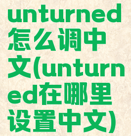 unturned怎么调中文(unturned在哪里设置中文)