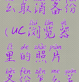 uc浏览器怎么取消备份(uc浏览器里的照片备份怎么关闭)