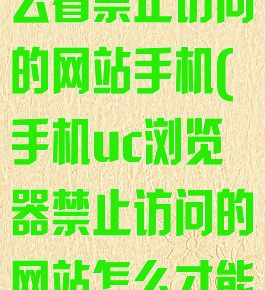 uc浏览器怎么看禁止访问的网站手机(手机uc浏览器禁止访问的网站怎么才能进)
