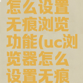 uc浏览器怎么设置无痕浏览功能(uc浏览器怎么设置无痕浏览模式)