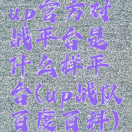 up官方对战平台是什么样平台(up战队百度百科)