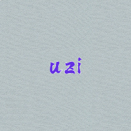 uzi